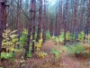 20131026_120712
