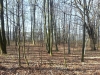 20140330_094616
