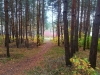 20131026_120708