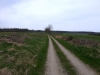 20130502_144405