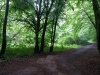 20130525_144624