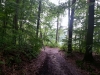 20130601_142432